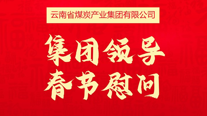 集团领导春节慰问