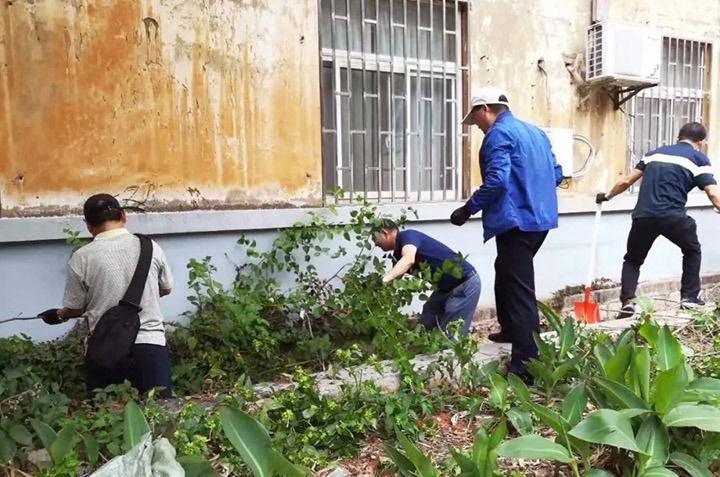 集团机关党委、老干党委开展党员志愿服务活动