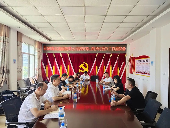 集团党委副书记、工会主席王鑫一行深入集团乡村振兴挂钩帮扶点寿山镇调研