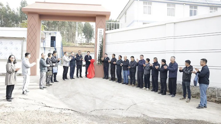 【兴发娱乐·(中国游)最新官方网站简讯】先锋煤业、云南解化、先锋化工三家公司动态｜精彩内容速览