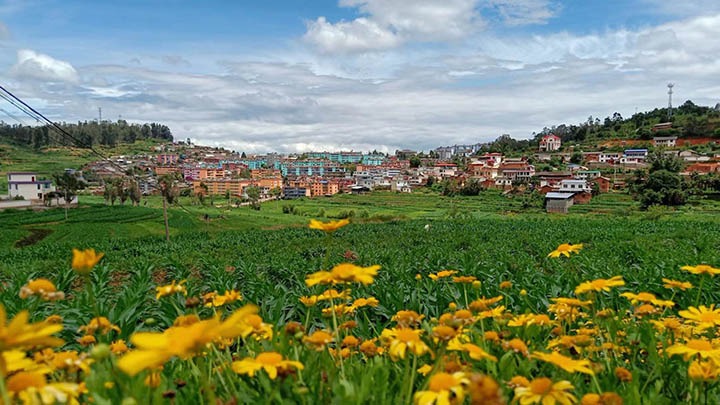 【兴发娱乐·(中国游)最新官方网站岁月】笃行不辍谋发展，砥砺奋进谱新篇——平煤故事（一）