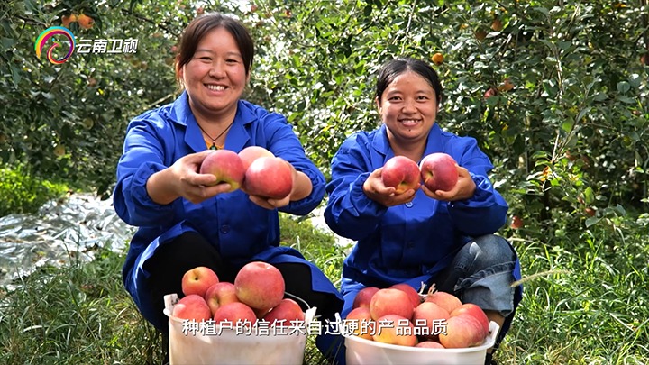 《云南卫视》播报：兴发娱乐·(中国游)最新官方网站集团解化好肥助力“三农”发展，共绘乡村振兴“幸福画卷”