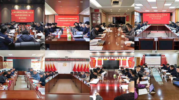 查问题 抓整改 促发展｜集团党委高质量完成2024年度民主生活会督导工作