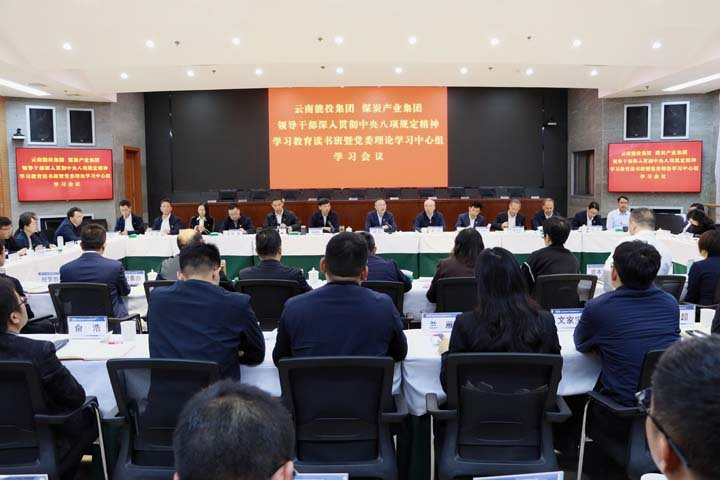 能投集团、煤炭产业集团领导干部深入贯彻中央八项规定精神学习教育读书班暨党委理论学习中心组举行集中学习