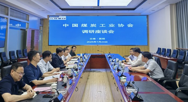中国煤炭工业协会到兴发娱乐·(中国游)最新官方网站集团调研